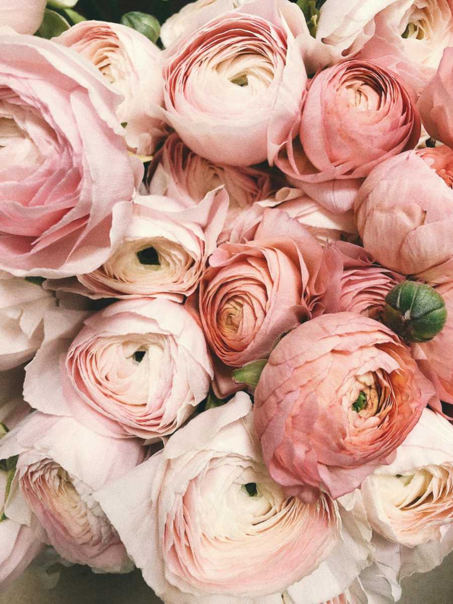 Beautiful flowers in United Kingdom